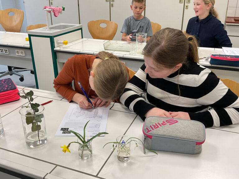 Tolle Nawiade der 6. Klassen